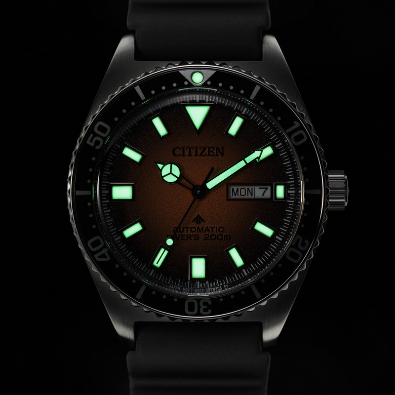 NY0120-01ZE