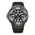 BJ8056-01E
