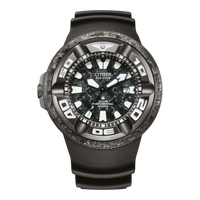 BJ8056-01E