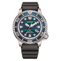 BN0167-09W