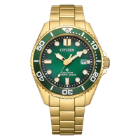 BN0262-59W