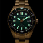 BN0262-59W