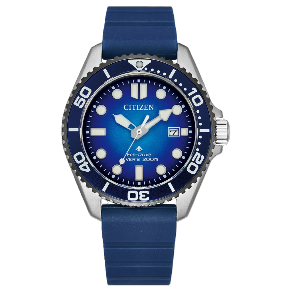 BN0267-04L