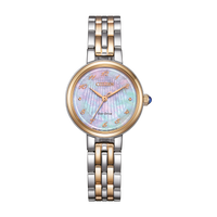 EM0996-84Y