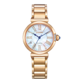 EM1063-89D