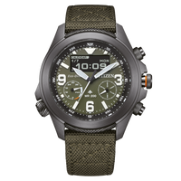 JV1005-02W