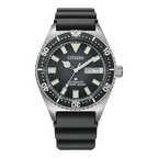 NY0120-01EE