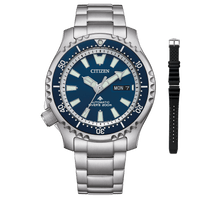 NY0161-63LE